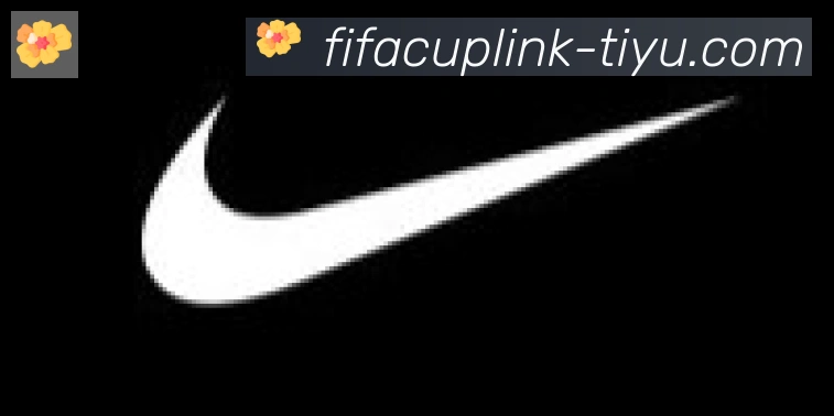 FIFA世界杯体育官方网站合作伙伴